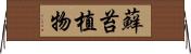 蘚苔植物 Horizontal Wall Scroll