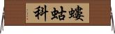 螻蛄科 Horizontal Wall Scroll