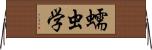 蠕虫学 Horizontal Wall Scroll