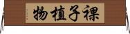 裸子植物 Horizontal Wall Scroll