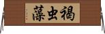 褐虫藻 Horizontal Wall Scroll