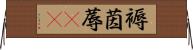 褥 Horizontal Wall Scroll
