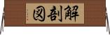 解剖図 Horizontal Wall Scroll