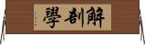 解剖學 Horizontal Wall Scroll