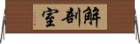 解剖室 Horizontal Wall Scroll