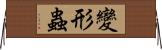 變形蟲 Horizontal Wall Scroll