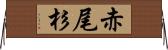 赤尾杉 Horizontal Wall Scroll