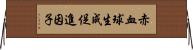 赤血球生成促進因子 Horizontal Wall Scroll
