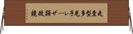 走査型多光子レーザ顕微鏡 Horizontal Wall Scroll