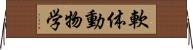 軟体動物学 Horizontal Wall Scroll