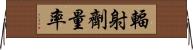 輻射劑量率 Horizontal Wall Scroll