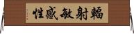 輻射敏感性 Horizontal Wall Scroll