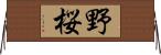 野桜 Horizontal Wall Scroll