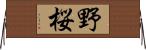 野桜 Horizontal Wall Scroll