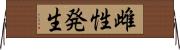 雌性発生 Horizontal Wall Scroll