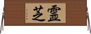 霊芝 Horizontal Wall Scroll