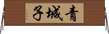 青城子 Horizontal Wall Scroll