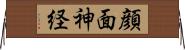 顔面神経 Horizontal Wall Scroll