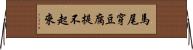 馬尾穿豆腐，提不起來 Horizontal Wall Scroll