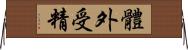 體外受精 Horizontal Wall Scroll