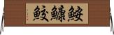 鮟鱇鮫 Horizontal Wall Scroll