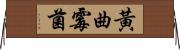 黃曲霉菌 Horizontal Wall Scroll