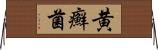 黄癬菌 Horizontal Wall Scroll