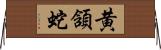 黄頷蛇 Horizontal Wall Scroll