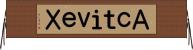 ＡｃｔｉｖｅＸ Horizontal Wall Scroll