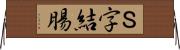 Ｓ字結腸 Horizontal Wall Scroll