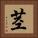 茎 Square Portrait