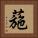 葹 Square Portrait