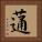 蓪 Square Portrait