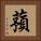 蕷 Square Portrait