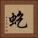 虼 Square Portrait