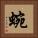 蜿 Square Portrait
