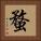 蝥 Square Portrait