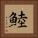 鯥 Square Portrait