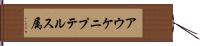 アウケニプテルス属 Hand Scroll