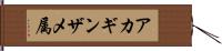 アカギンザメ属 Hand Scroll