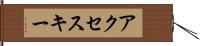 アクセス・キー Hand Scroll