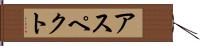 アスペクト Hand Scroll