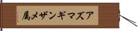 アズマギンザメ属 Hand Scroll
