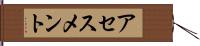 アセスメント Hand Scroll