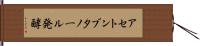アセトンブタノール発酵 Hand Scroll