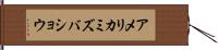 アメリカミズバショウ Hand Scroll