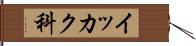 イッカク科 Hand Scroll