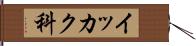 イッカク科 Hand Scroll