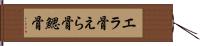 エラ骨 Hand Scroll