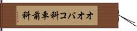 オオバコ科 Hand Scroll